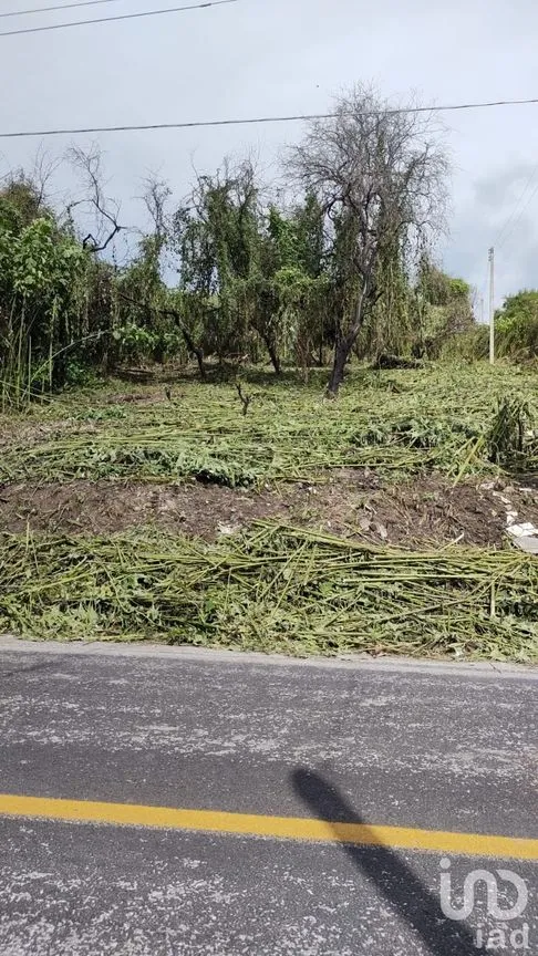 Terreno en Venta en Tequesquitengo, Jojutla, Morelos | NEX-55446 | iad México | Foto 8 de 11