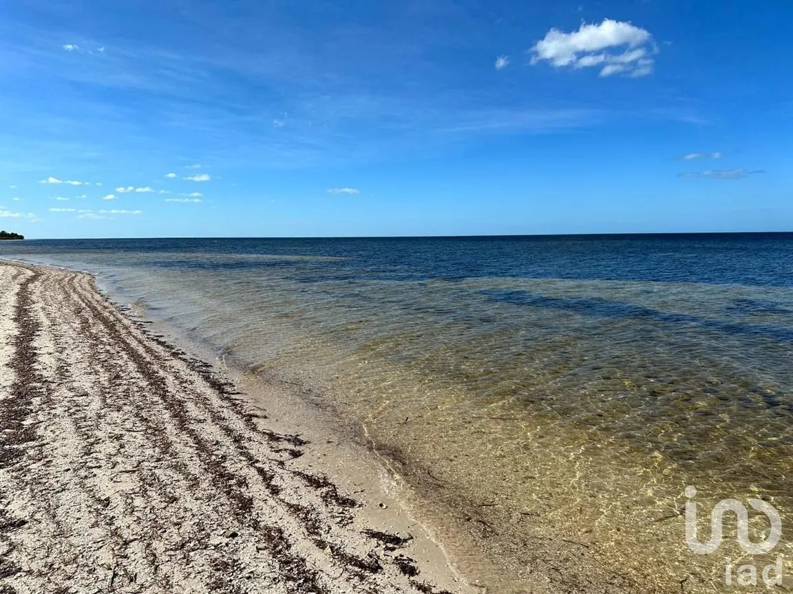 Terreno en Venta en Santa Clara, Dzidzantún, Yucatán | NEX-239322 | iad México | Foto 2 de 10
