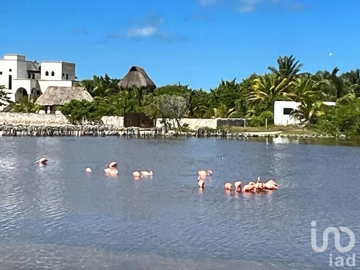Terreno en Venta en Santa Clara, Dzidzantún, Yucatán | NEX-239322 | iad México | Foto 9 de 10