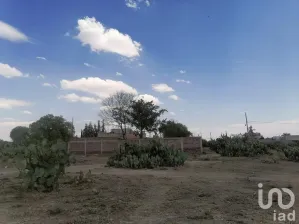 NEX-170485 - Terreno en Venta en El Cid, CP 43810, Hidalgo.