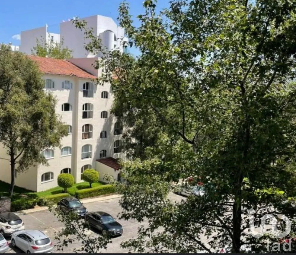 Departamento en Venta en Jesús del Monte, Cuajimalpa de Morelos, Ciudad de México | NEX-244567 | iad México | Foto 16 de 28