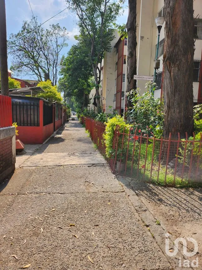 Departamento en Renta en Villa Coapa, Tlalpan, Ciudad de México | NEX-296755 | iad México | Foto 4 de 20