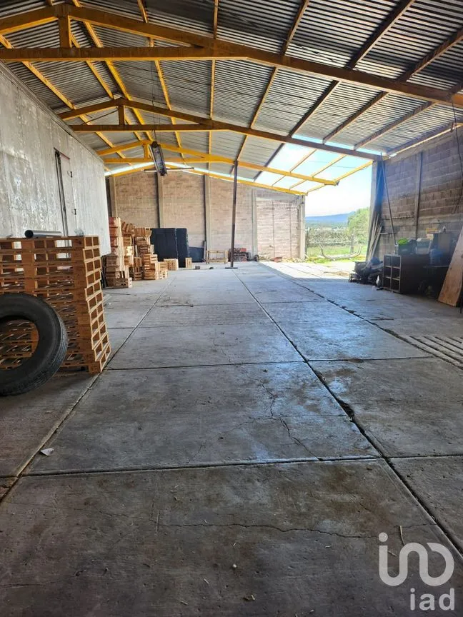 Terreno en Venta en San Miguel Atepoxco, Nopaltepec, México | NEX-299215 | iad México | Foto 2 de 23