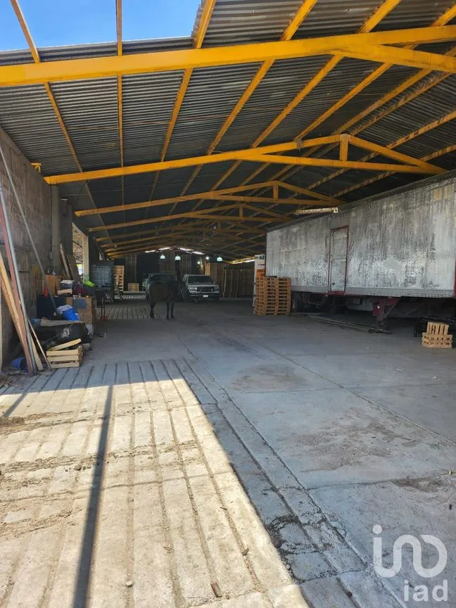 Terreno en Venta en San Miguel Atepoxco, Nopaltepec, México | NEX-299215 | iad México | Foto 3 de 23