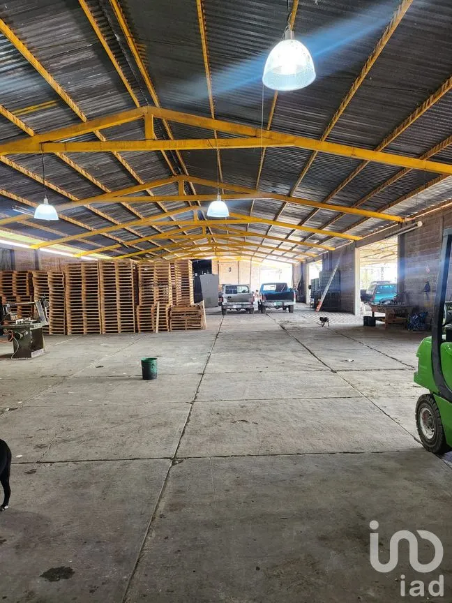 Terreno en Venta en San Miguel Atepoxco, Nopaltepec, México | NEX-299215 | iad México | Foto 5 de 23