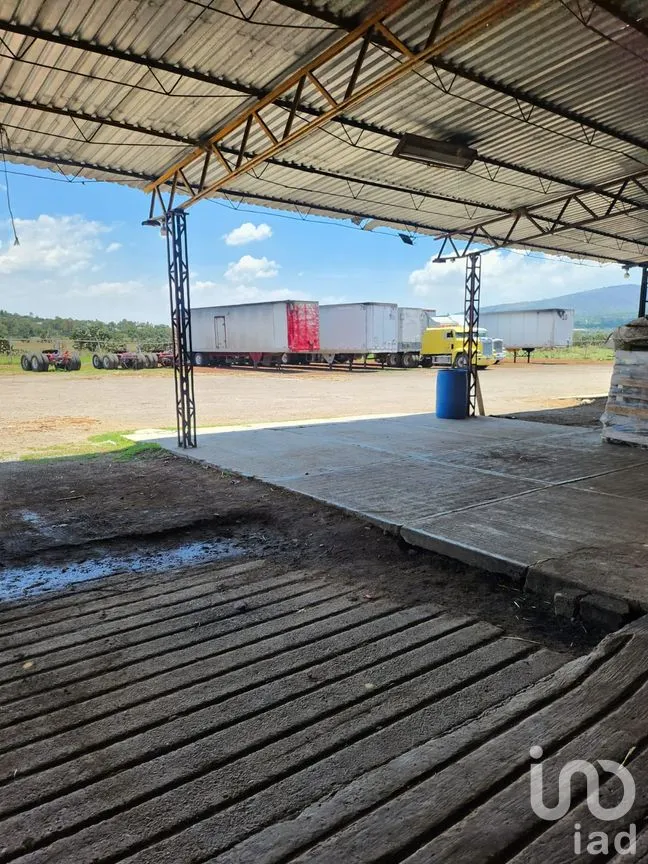 Terreno en Venta en San Miguel Atepoxco, Nopaltepec, México | NEX-299215 | iad México | Foto 8 de 23