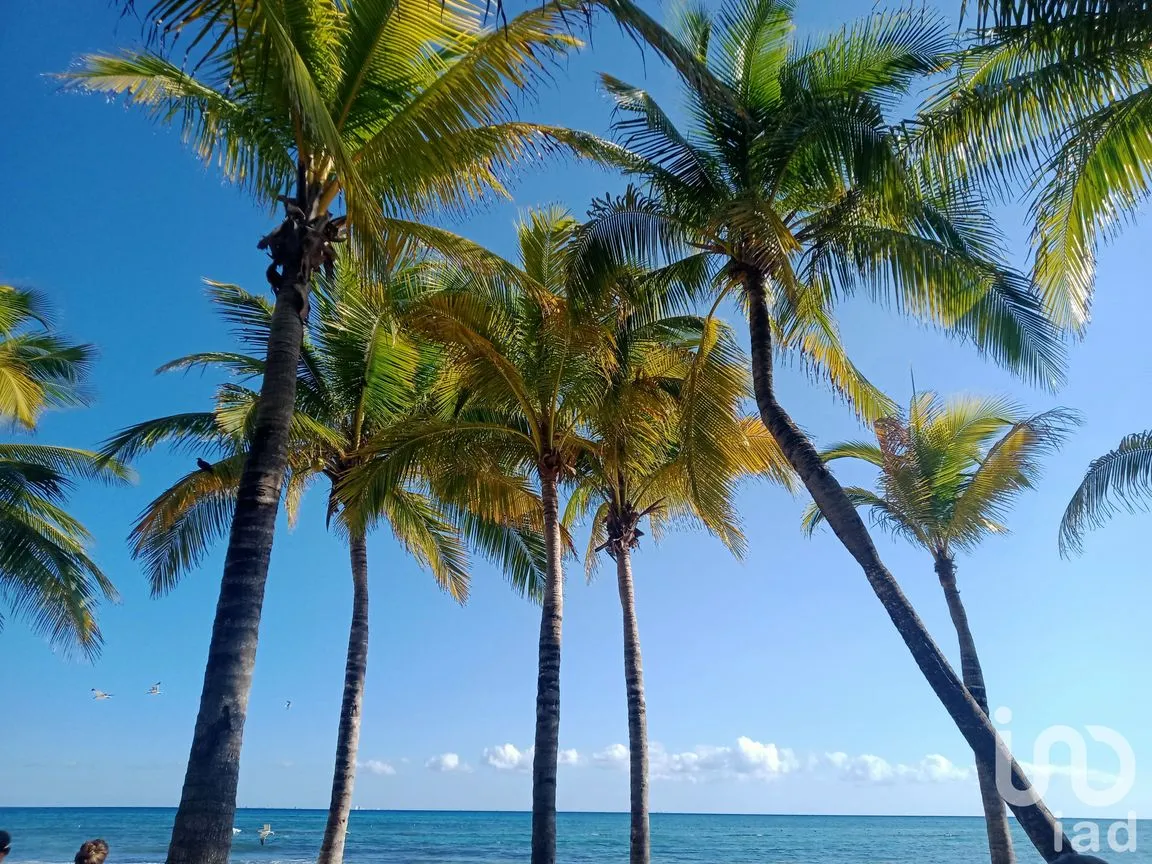 Departamento en Venta en Pedregal de Santa Úrsula, Coyoacán, Ciudad de México | NEX-160006 | iad México | Foto 1 de 1