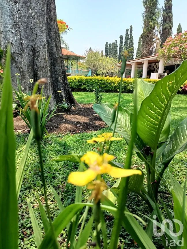 Casa en Venta en Atlacomulco, Jiutepec, Morelos | NEX-147728 | iad México | Foto 83 de 141