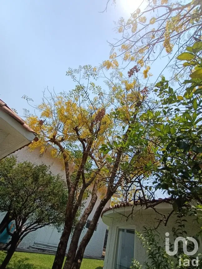 Casa en Venta en Atlacomulco, Jiutepec, Morelos | NEX-147728 | iad México | Foto 101 de 141