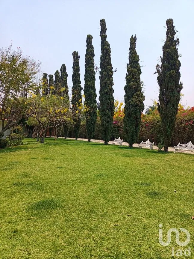 Casa en Venta en Atlacomulco, Jiutepec, Morelos | NEX-147728 | iad México | Foto 12 de 141