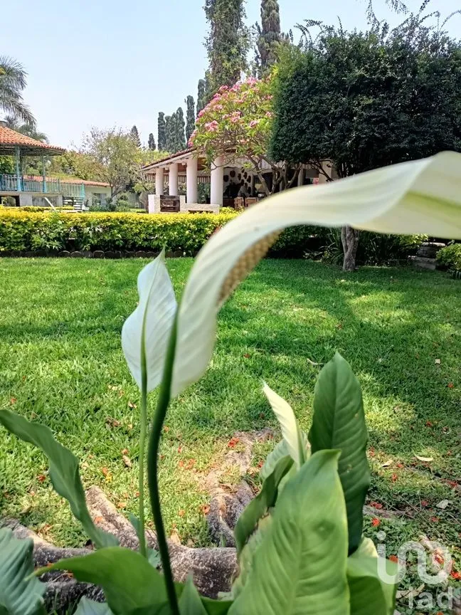 Casa en Venta en Atlacomulco, Jiutepec, Morelos | NEX-147728 | iad México | Foto 84 de 141