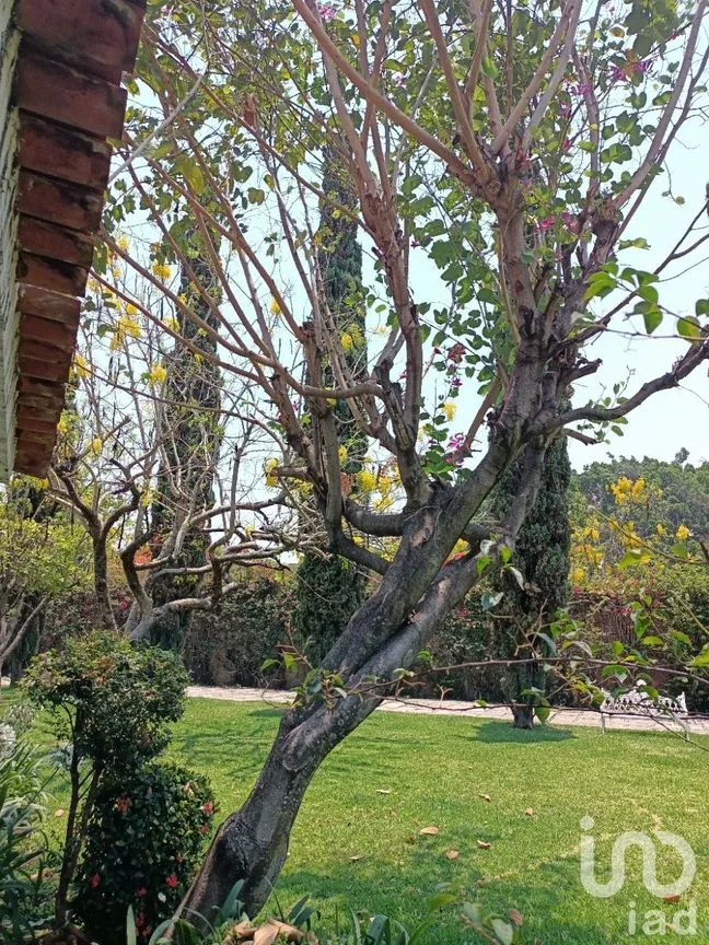 Casa en Venta en Atlacomulco, Jiutepec, Morelos | NEX-147728 | iad México | Foto 4 de 141