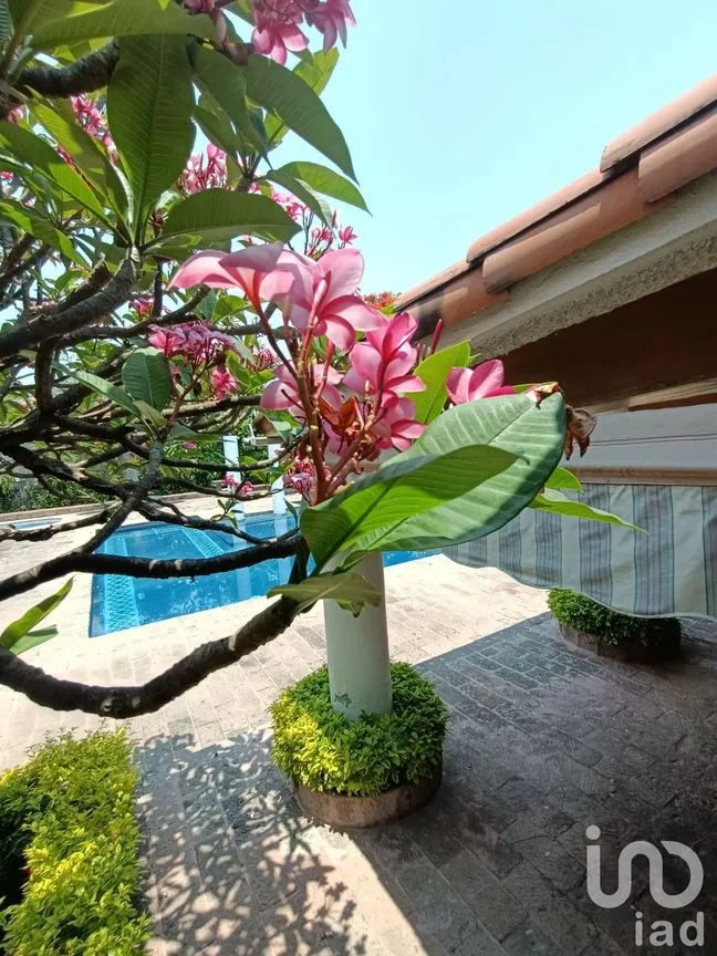 Casa en Venta en Atlacomulco, Jiutepec, Morelos | NEX-147728 | iad México | Foto 11 de 141