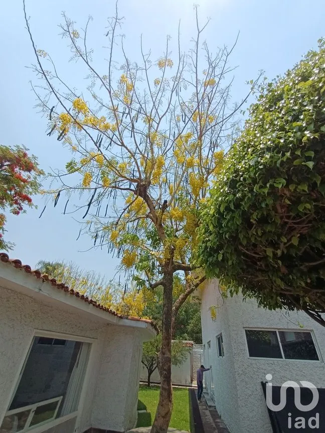 Casa en Venta en Atlacomulco, Jiutepec, Morelos | NEX-147728 | iad México | Foto 126 de 141