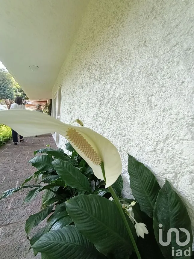 Casa en Venta en Atlacomulco, Jiutepec, Morelos | NEX-147728 | iad México | Foto 90 de 141