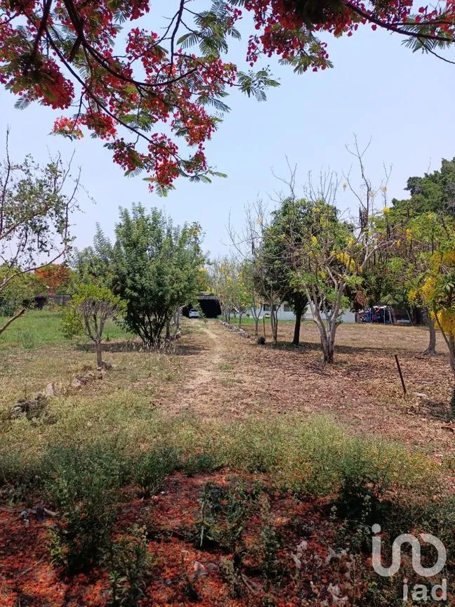 Casa en Venta en Atlacomulco, Jiutepec, Morelos | NEX-147728 | iad México | Foto 130 de 141