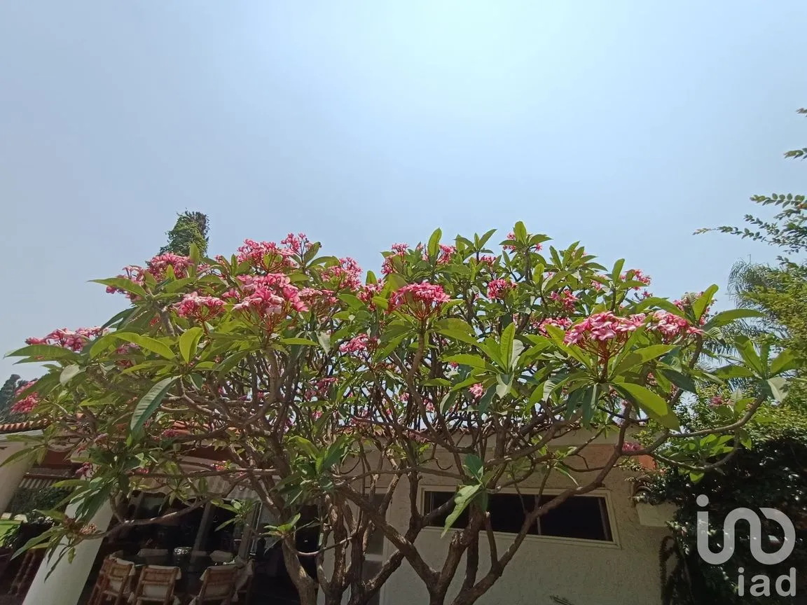 Casa en Venta en Atlacomulco, Jiutepec, Morelos | NEX-147728 | iad México | Foto 41 de 141