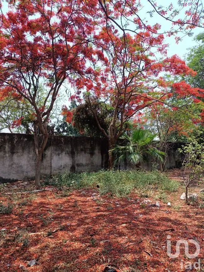 Casa en Venta en Atlacomulco, Jiutepec, Morelos | NEX-147728 | iad México | Foto 129 de 141
