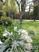 NEX-147728 - Casa en Venta, con 6 recamaras, con 8 baños, con 1162 m2 de construcción en Atlacomulco, CP 62560, Morelos.