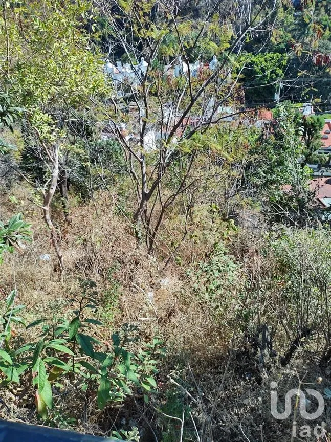 Casa en Venta en Lomas de Atzingo, Cuernavaca, Morelos | NEX-91465 | iad México | Foto 33 de 39