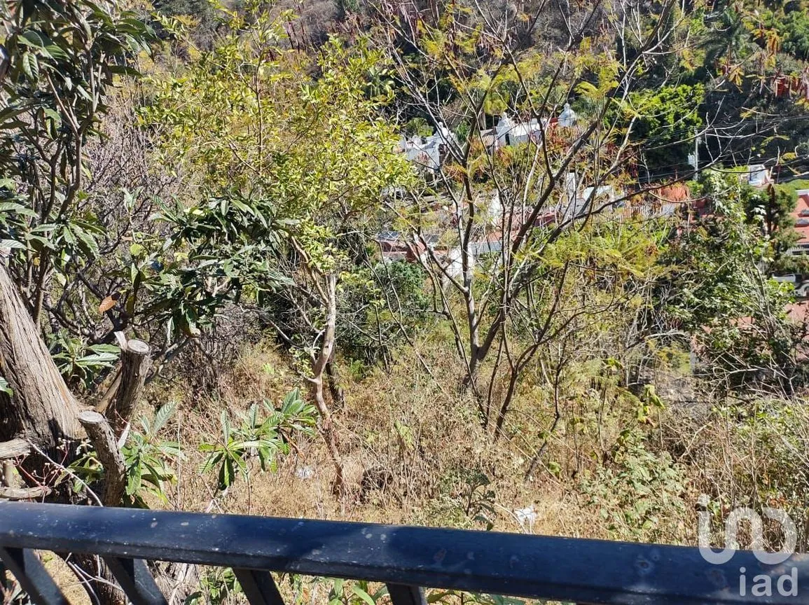 Casa en Venta en Lomas de Atzingo, Cuernavaca, Morelos | NEX-91465 | iad México | Foto 37 de 39