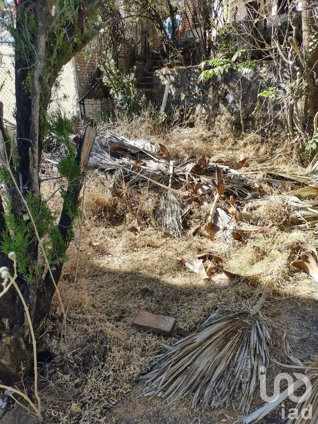 Casa en Venta en Lomas de Atzingo, Cuernavaca, Morelos | NEX-91465 | iad México | Foto 34 de 39