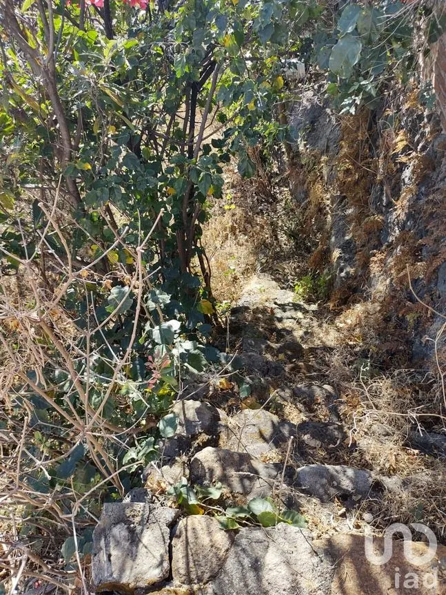 Casa en Venta en Lomas de Atzingo, Cuernavaca, Morelos | NEX-91465 | iad México | Foto 36 de 39