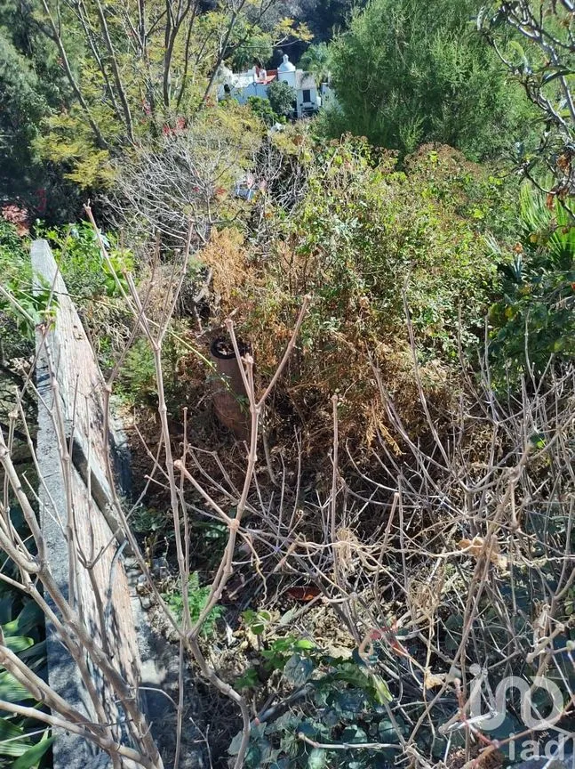 Casa en Venta en Lomas de Atzingo, Cuernavaca, Morelos | NEX-91465 | iad México | Foto 35 de 39