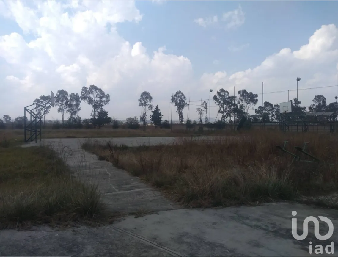Terreno en Renta en Jilotepec de Molina Enríquez, Jilotepec, México | NEX-55589 | iad México | Foto 4 de 5