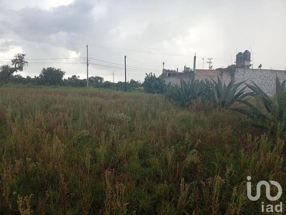 Terreno en Venta en Otumba de Gómez Farías, Otumba, México | NEX-261096 | iad México | Foto 3 de 7