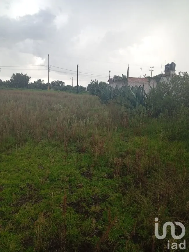 Terreno en Venta en Otumba de Gómez Farías, Otumba, México | NEX-261096 | iad México | Foto 4 de 7