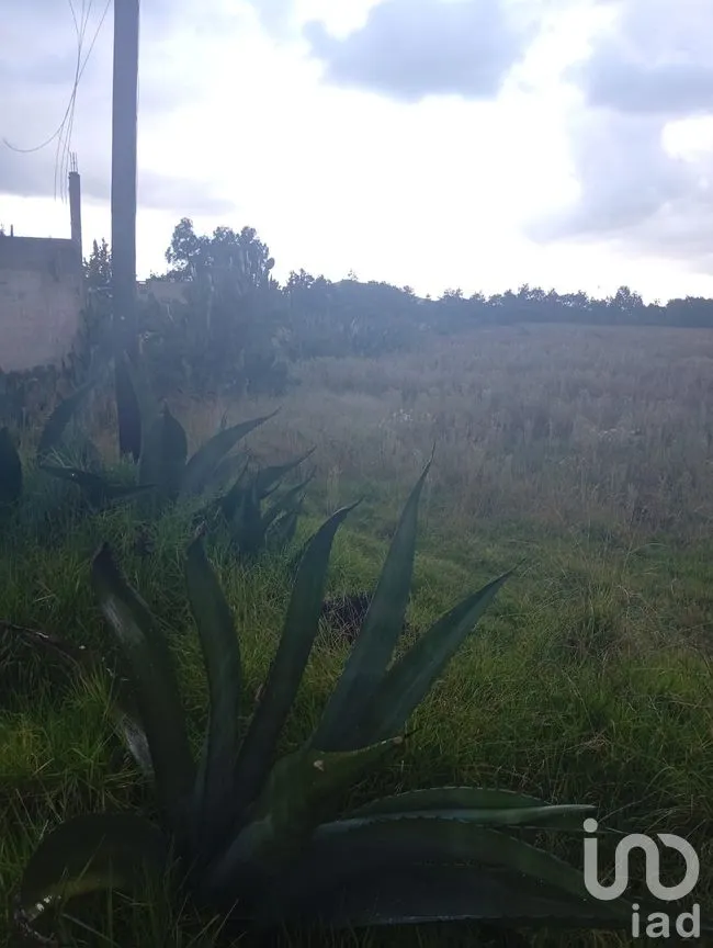 Terreno en Venta en Otumba de Gómez Farías, Otumba, México | NEX-261096 | iad México | Foto 5 de 7