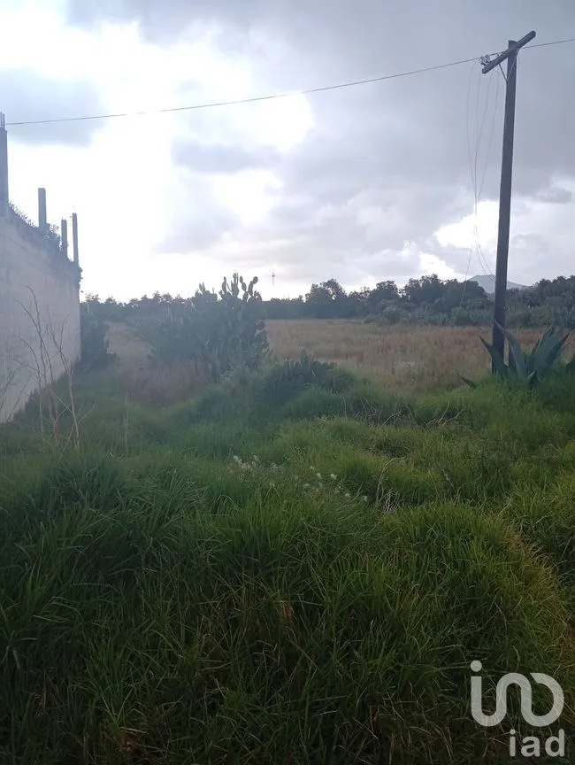 Terreno en Venta en Otumba de Gómez Farías, Otumba, México | NEX-261096 | iad México | Foto 6 de 7