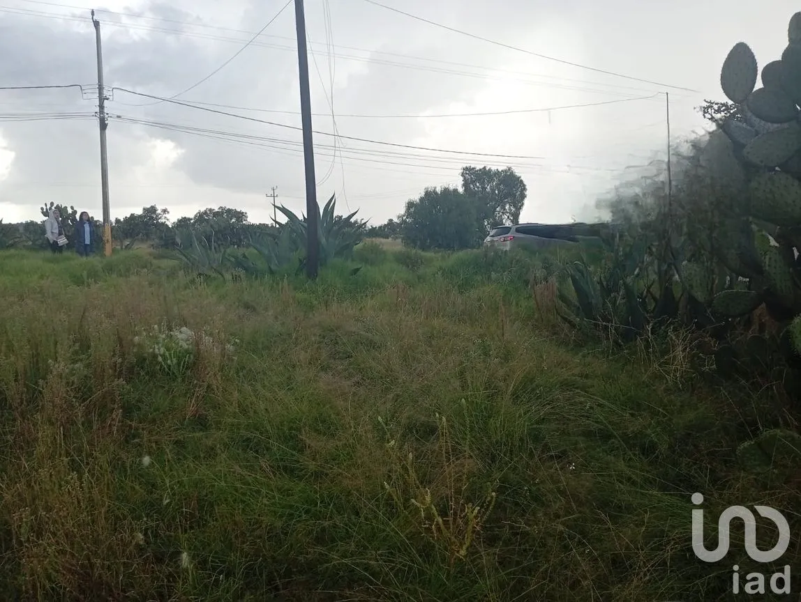 Terreno en Venta en Otumba de Gómez Farías, Otumba, México | NEX-261096 | iad México | Foto 7 de 7
