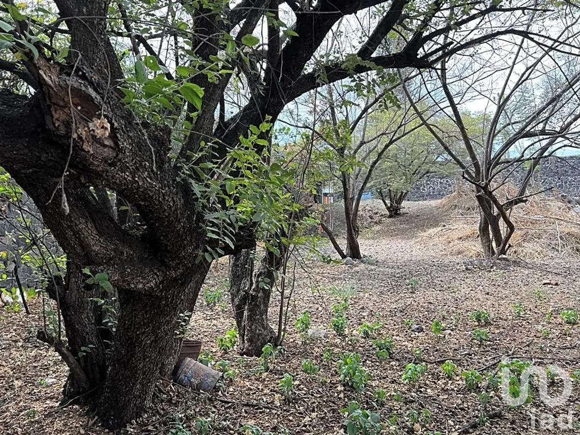Terreno en Venta en Vista Hermosa, Cuernavaca, Morelos | NEX-235837 | iad México | Foto 3 de 7