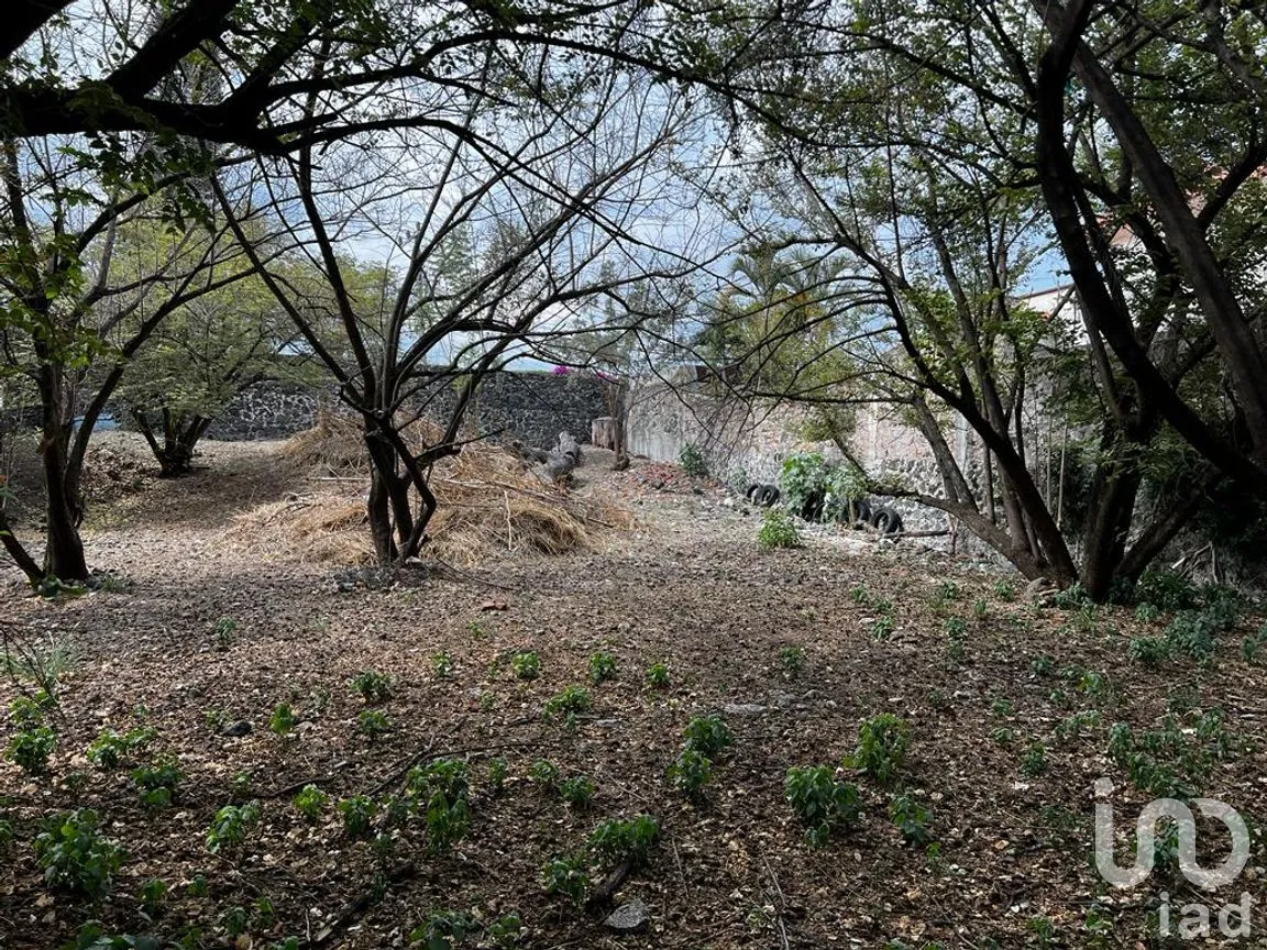 Terreno en Venta en Vista Hermosa, Cuernavaca, Morelos | NEX-235837 | iad México | Foto 4 de 7