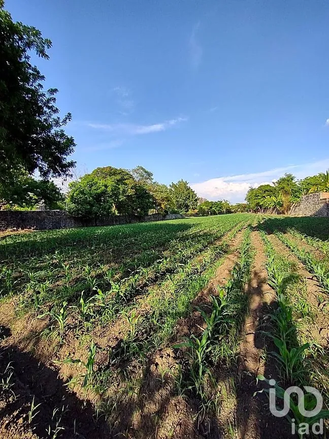 Terreno en Venta en Ixtlahuacan, Yautepec, Morelos | NEX-254483 | iad México | Foto 2 de 6