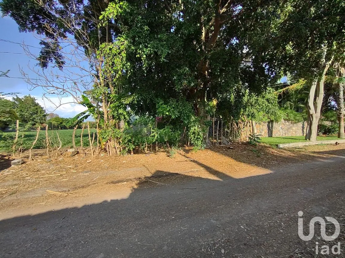 Terreno en Venta en Ixtlahuacan, Yautepec, Morelos | NEX-254483 | iad México | Foto 3 de 6