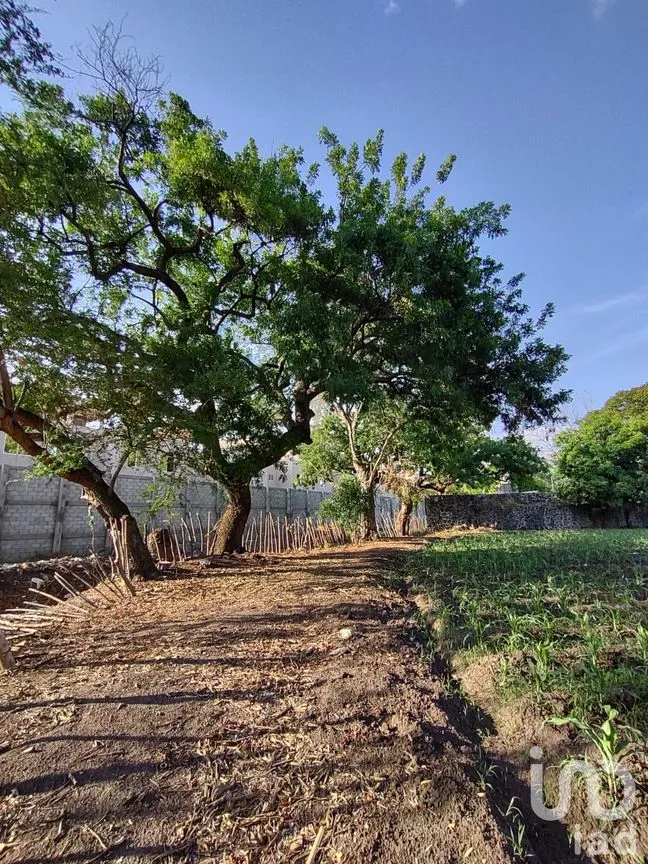 Terreno en Venta en Ixtlahuacan, Yautepec, Morelos | NEX-254483 | iad México | Foto 5 de 6