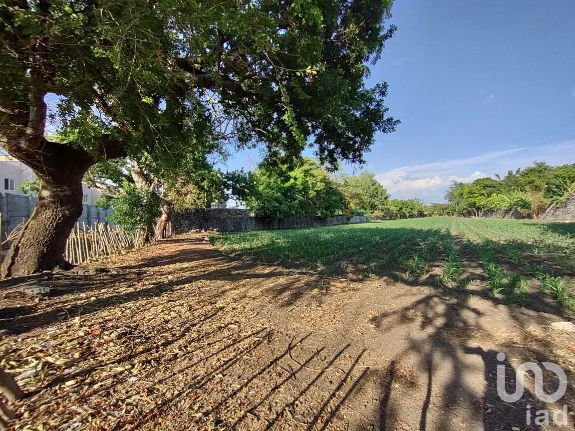 Terreno en Venta en Ixtlahuacan, Yautepec, Morelos | NEX-254483 | iad México | Foto 1 de 6