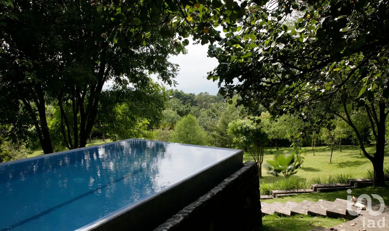 Casa en Venta en Alejandra, Yautepec, Morelos | NEX-264032 | iad México | Foto 3 de 19