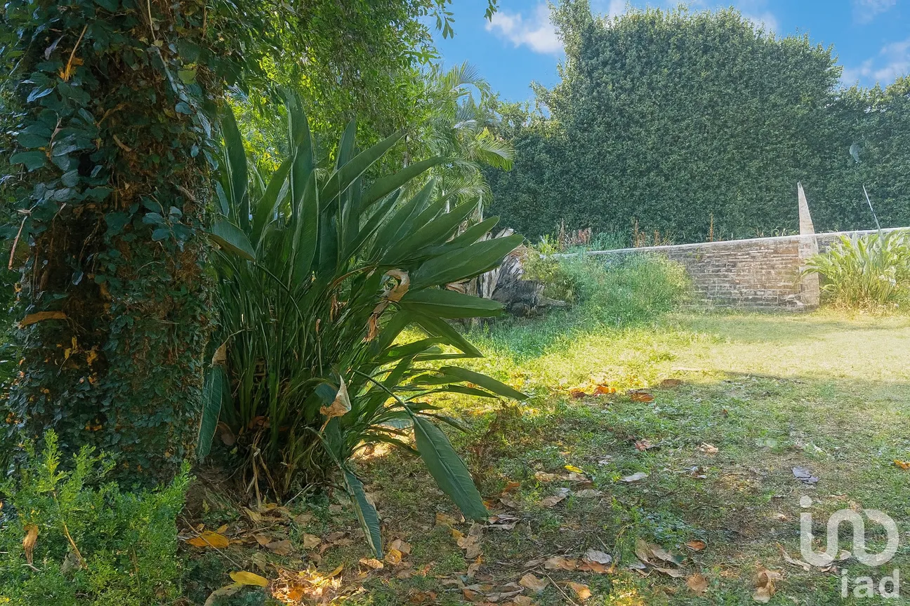 Casa en Venta en Lomas de San Antón, Cuernavaca, Morelos | NEX-264575 | iad México | Foto 8 de 13