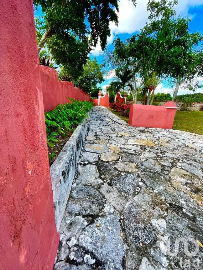 Terreno en Venta en Timul, Motul, Yucatán | NEX-83712 | iad México | Foto 12 de 12