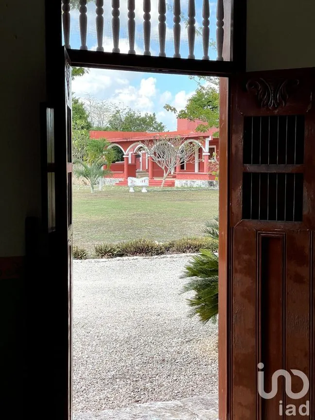 Terreno en Venta en Timul, Motul, Yucatán | NEX-83712 | iad México | Foto 8 de 12