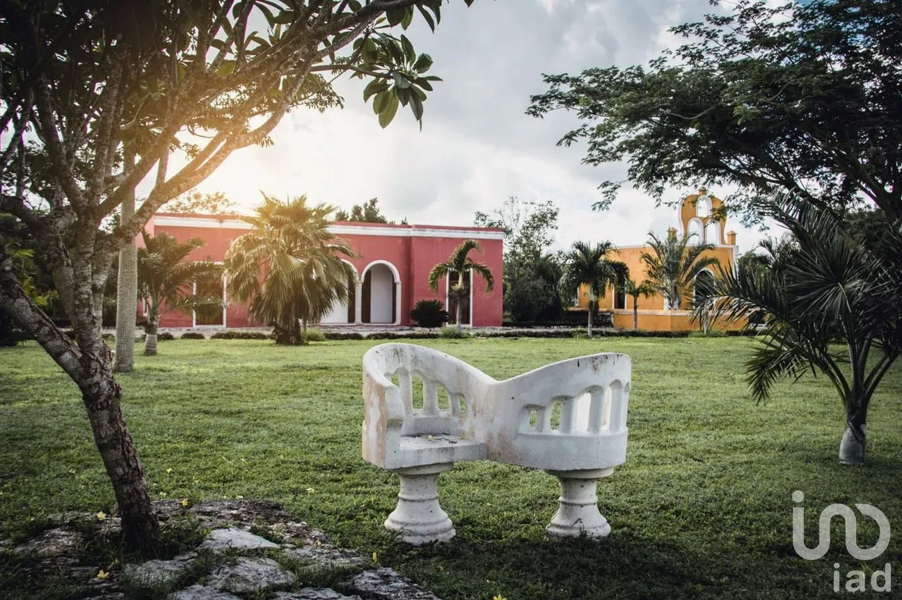 Terreno en Venta en Timul, Motul, Yucatán | NEX-83720 | iad México | Foto 3 de 7
