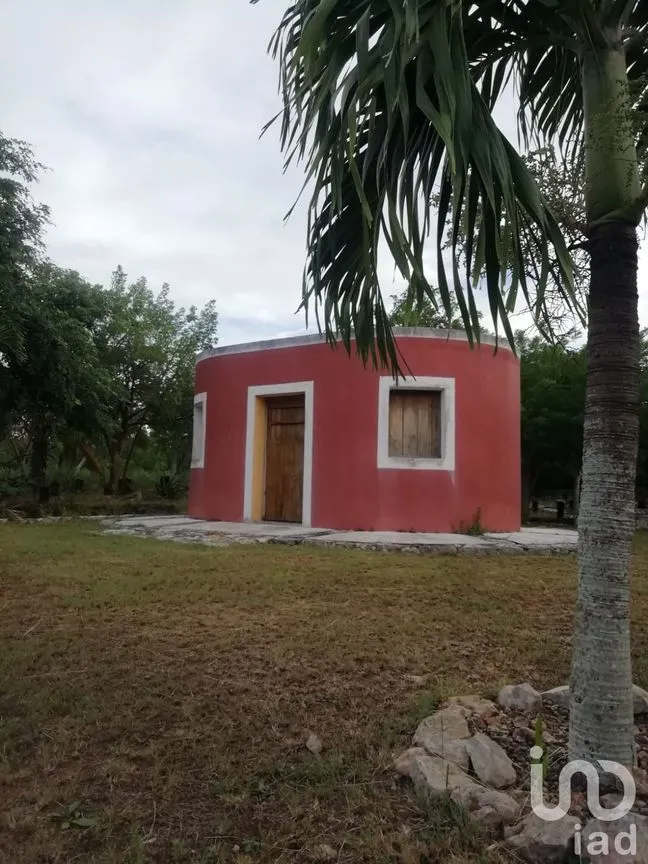 Terreno en Venta en Timul, Motul, Yucatán | NEX-83720 | iad México | Foto 6 de 7