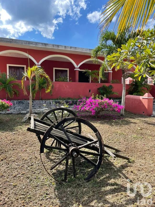 Terreno en Venta en Timul, Motul, Yucatán | NEX-83720 | iad México | Foto 2 de 7