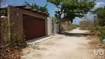 NEX-118086 - Terreno en Venta en Papagayos, CP 97350, Yucatán.