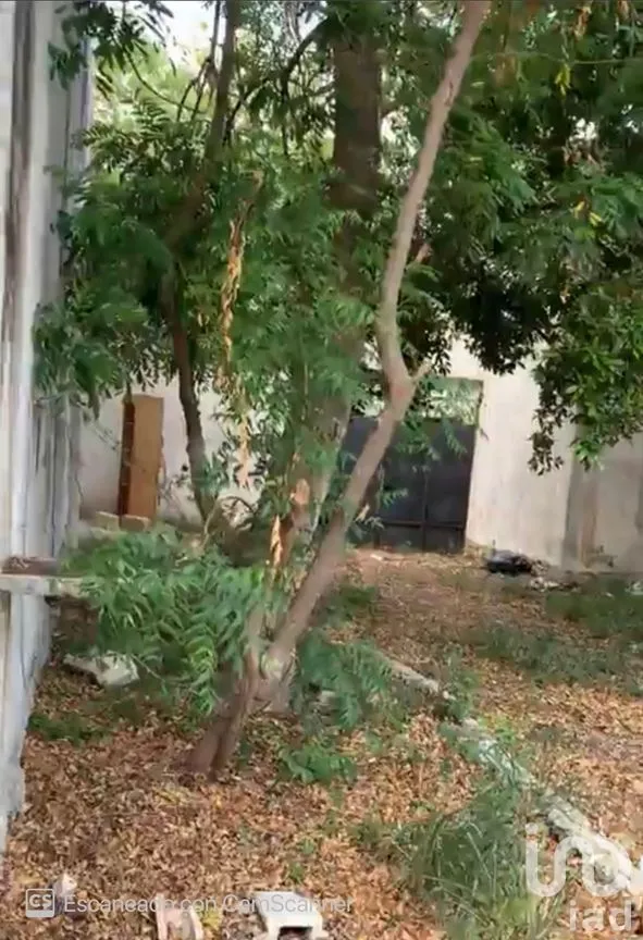 Casa en Venta en Dzununcán, Mérida, Yucatán | NEX-158995 | iad México | Foto 15 de 53