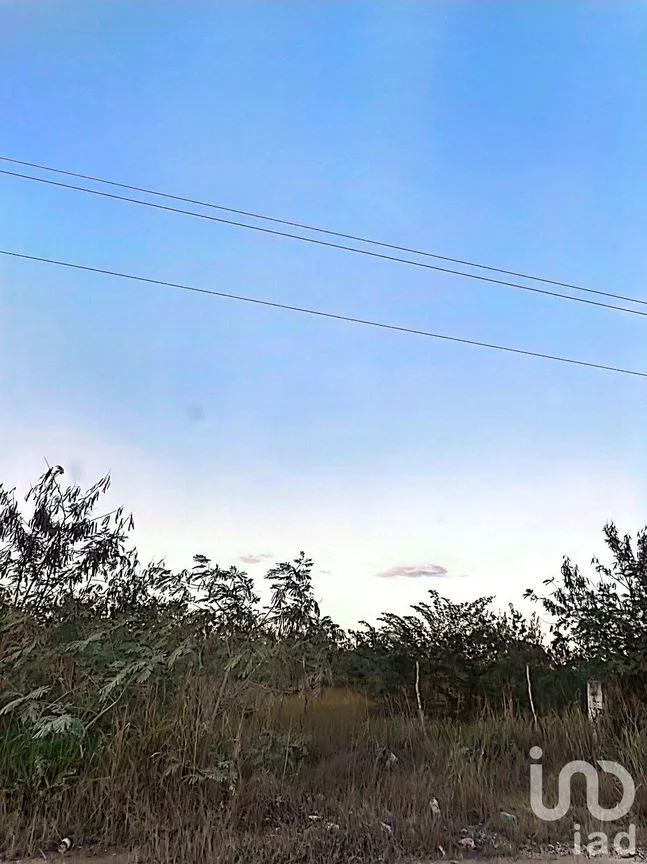 Terreno en Venta en Misnébalam, Mérida, Yucatán | NEX-161665 | iad México | Foto 13 de 18